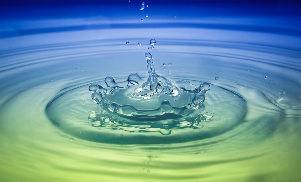 Veneto Region: Permanent technical-scientific Board constitution